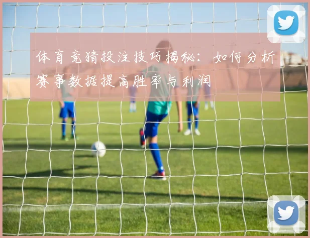 体育竞猜投注技巧揭秘：如何分析赛事数据提高胜率与利润