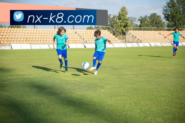 凯发娱乐平台展示图